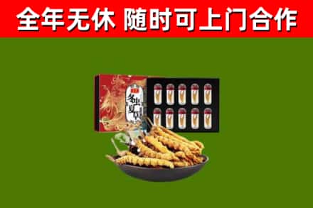 大兴区回收冬虫夏草价格